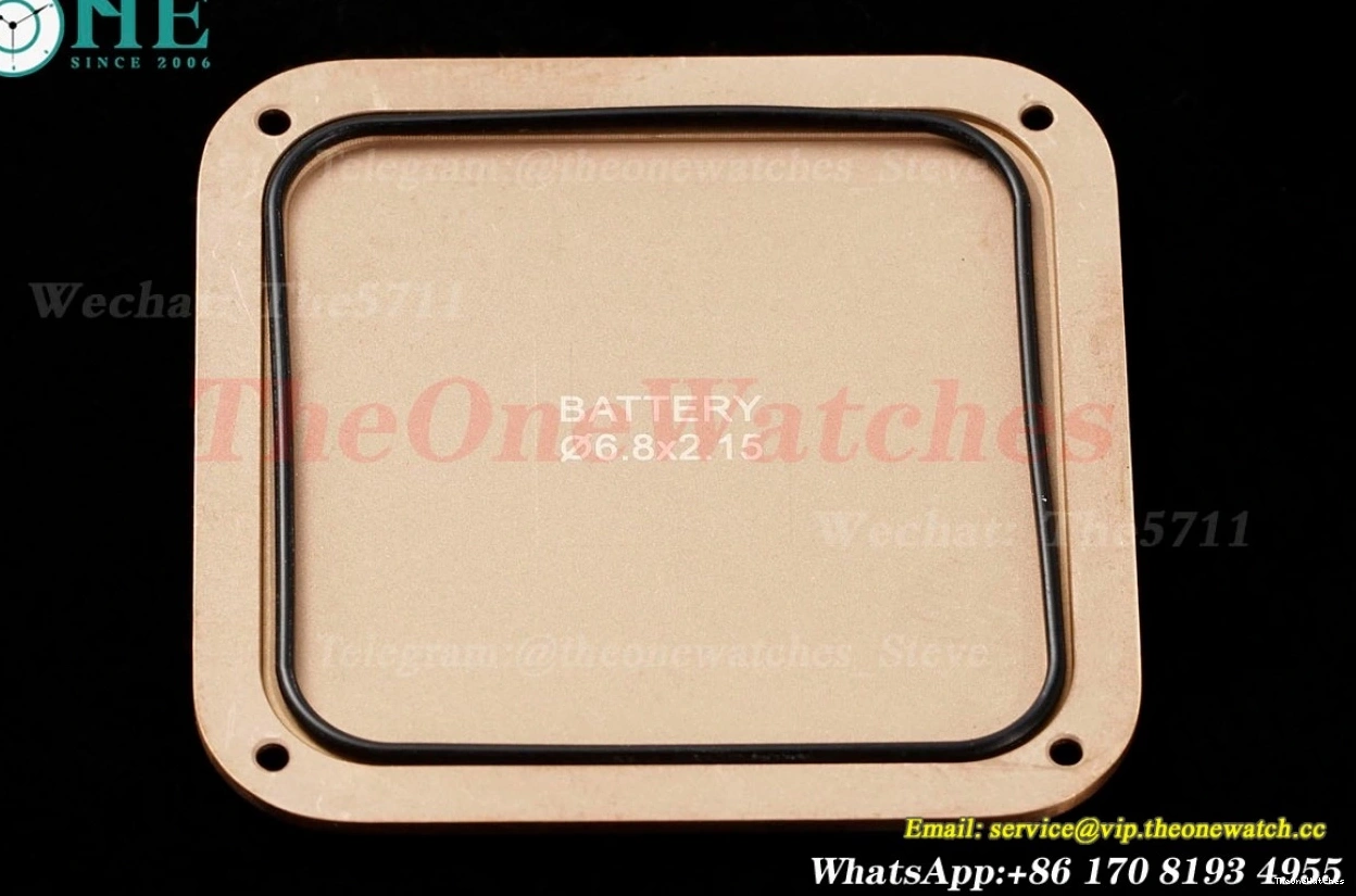 Dumont Dial Silver Brown Santos Quartz LE RG AF Dia 0313